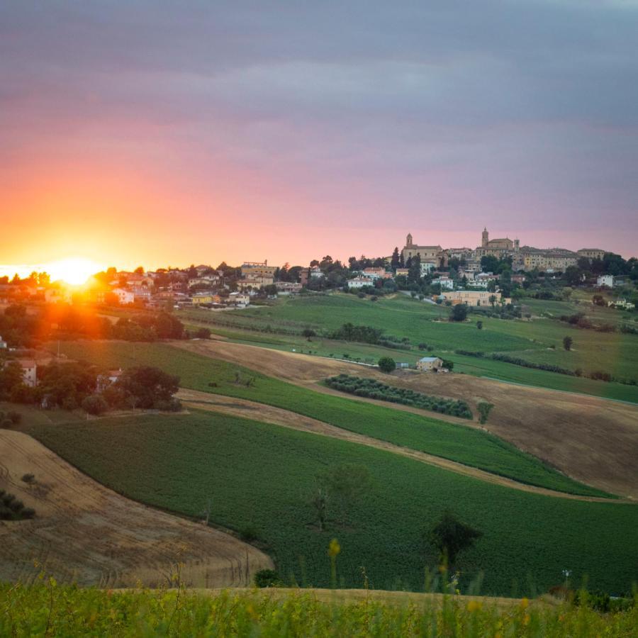Bauernhof Tenuta San Marcello
