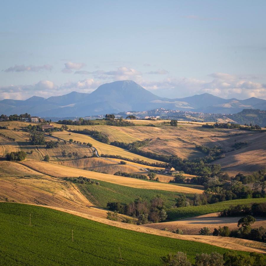 Tenuta *