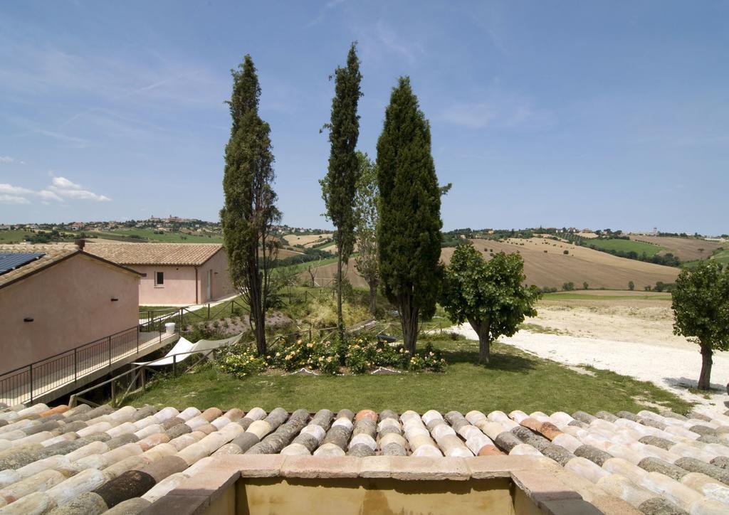 Tenuta San Marcello